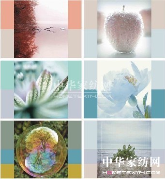 ЇüƷ2012/2013څ